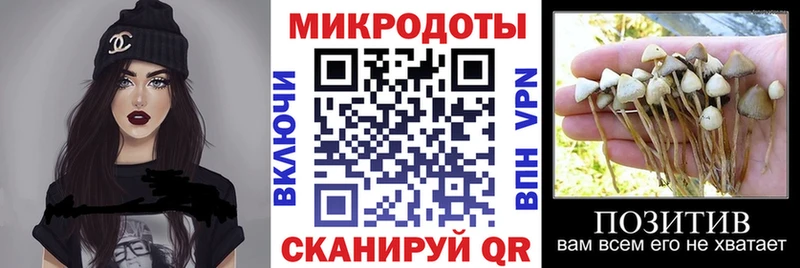 Галлюциногенные грибы Psilocybe  ссылка на мегу ССЫЛКА  Байкальск 