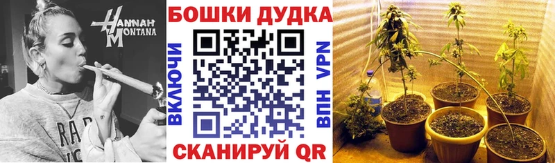 купить наркоту  Байкальск  mega   Каннабис ГИДРОПОН 